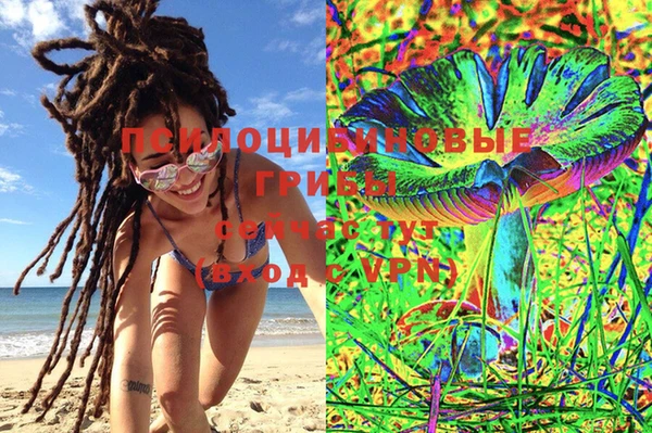 mix Белокуриха