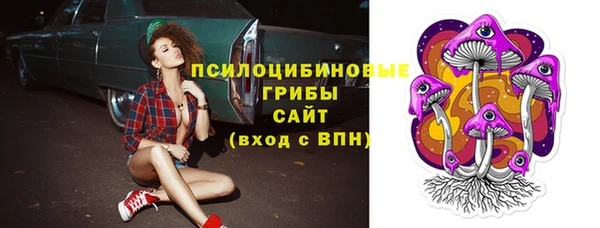 mix Белокуриха
