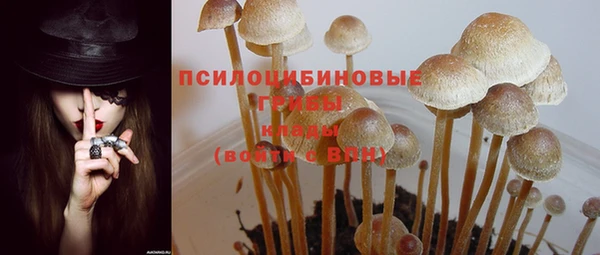 mix Белокуриха