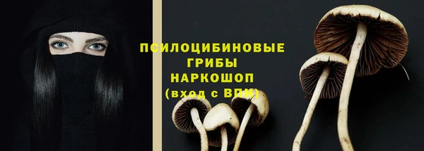 ГАЛЛЮЦИНОГЕННЫЕ ГРИБЫ Кукмор