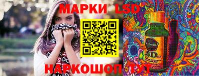 стафф Гай