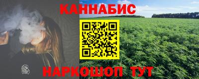 стафф Гай