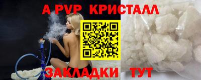 стафф Гай