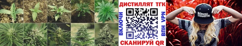 Дистиллят ТГК гашишное масло  наркошоп  Ипатово 