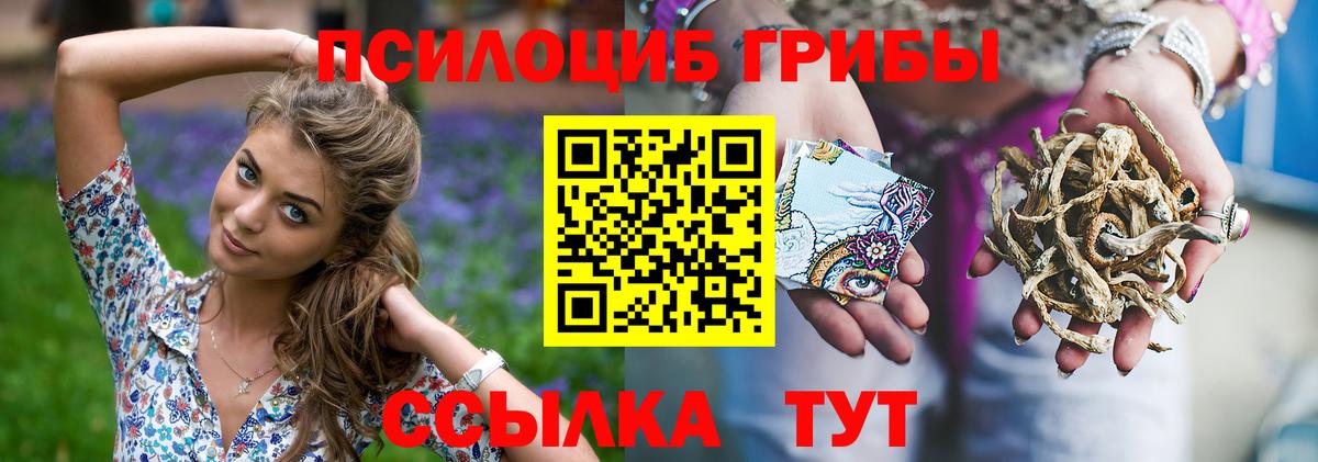 Псилоцибиновые грибы прущие грибы Ипатово