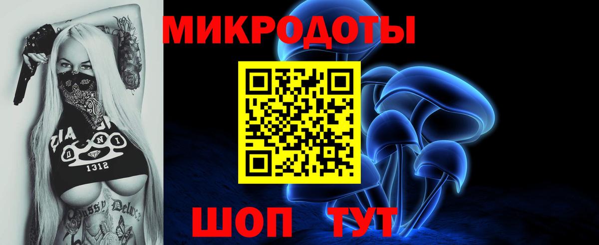 что такое наркотик  Вход с VPN  Ипатово  Псилоцибиновые грибы Psilocybe 